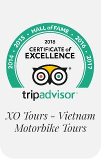 TripAdvisor Badge